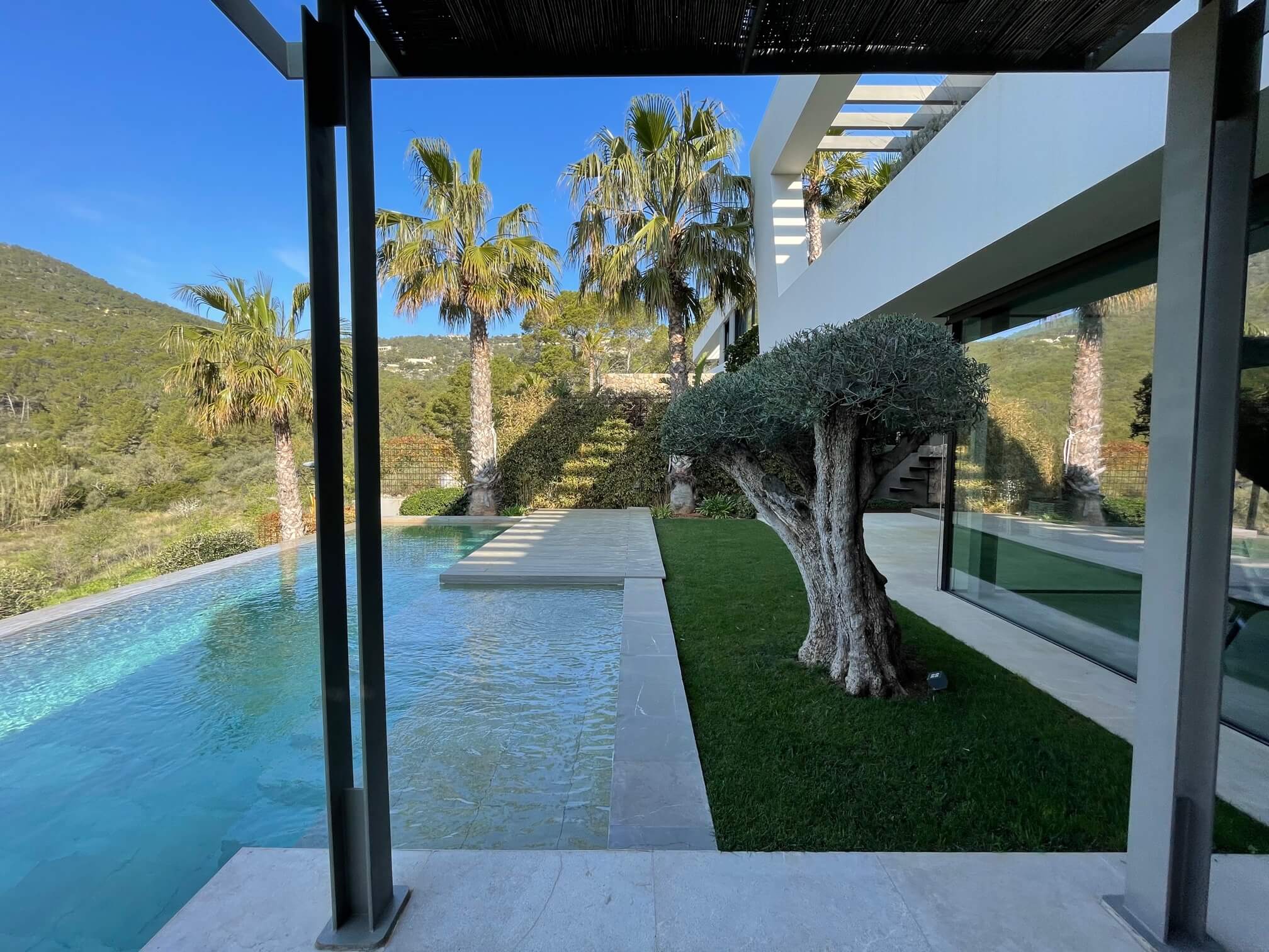 Jardín con piscina, palmeras y un olivo podado en Mallorca