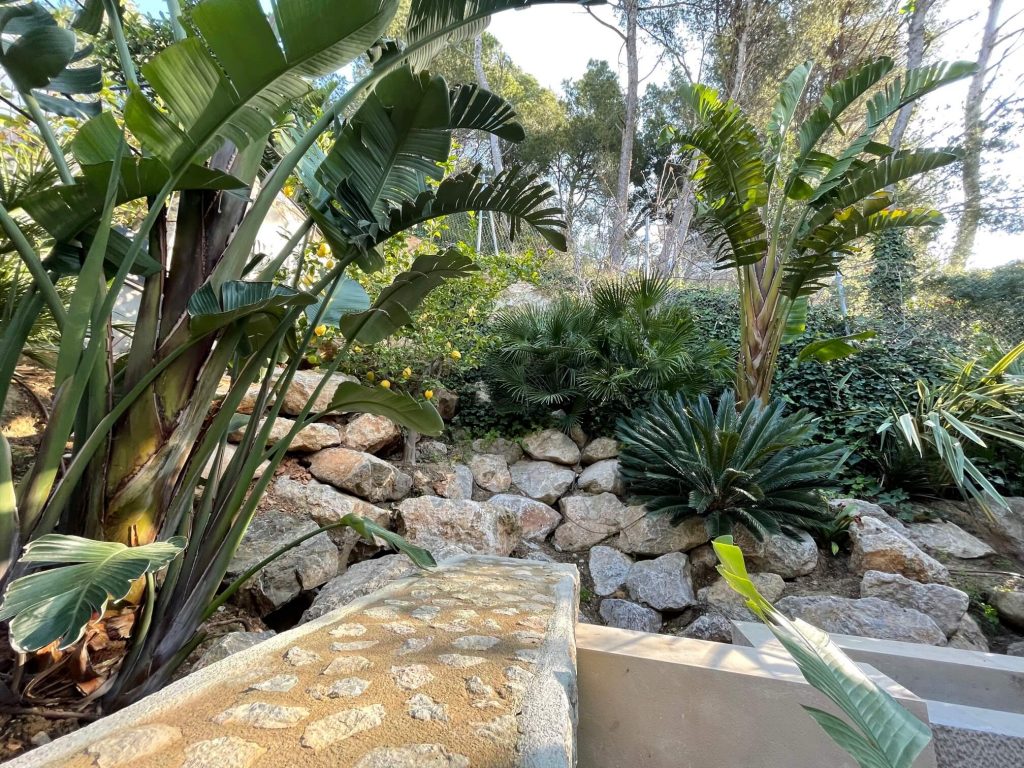 Jardin con palmeras